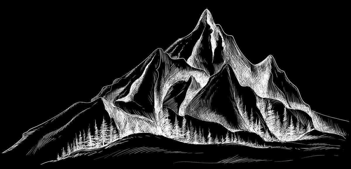  Shapoorji Pallonji Dualis